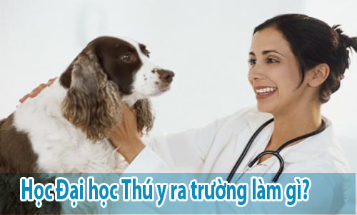 Học Đại học Thú Y ra trường làm gì