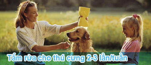 Cách nuôi chó mèo không mất vệ sinh - 4