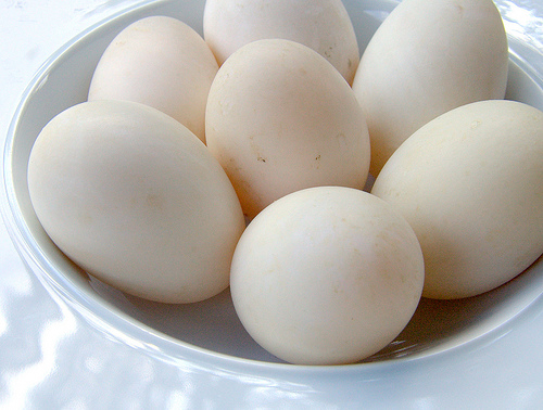 Ăn trứng gà hay trứng vịt bổ hơn