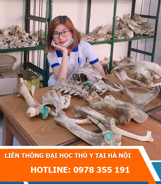 Liên thông đại học thú y