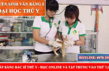 Văn bằng 2 đại học thú y