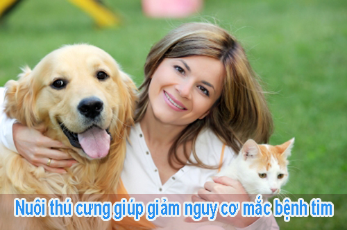 Nuôi chó giảm nguy cơ mắc bệnh tim